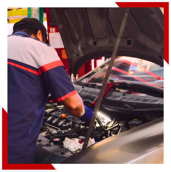AutoHouse